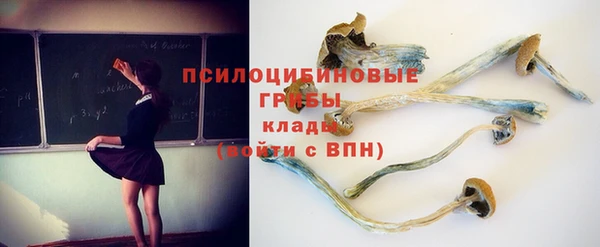 крисы Липки