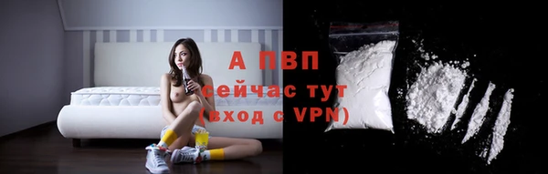ECSTASY Магадан