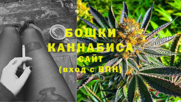 крисы Липки