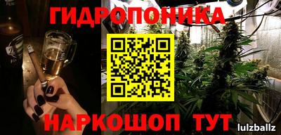 сатива Краснокаменск