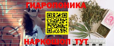 сатива Краснокаменск