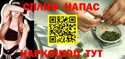прущие грибы Азнакаево