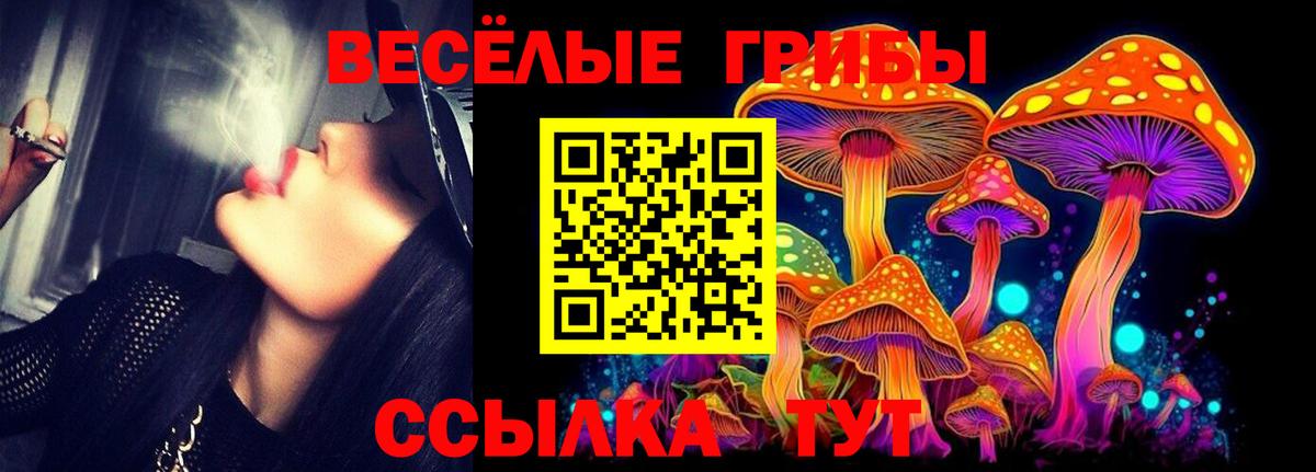 Псилоцибиновые грибы Cubensis  как найти наркотики  Магадан 