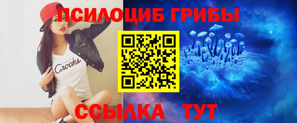 Галлюциногенные грибы прущие грибы  Вход с VPN  Магадан 